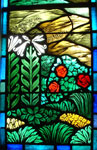 Stained Glass